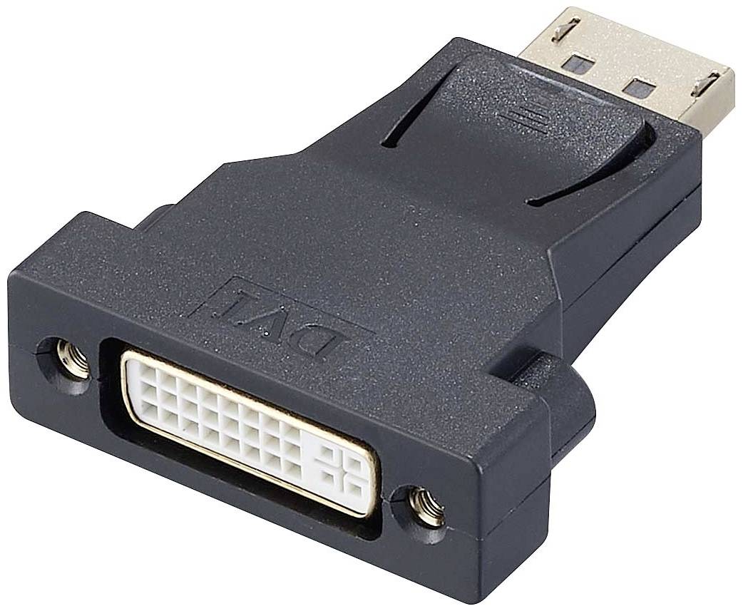 Adaptateur noir avec connecteur DVI d'un côté et fiche DisplayPort de l'autre.