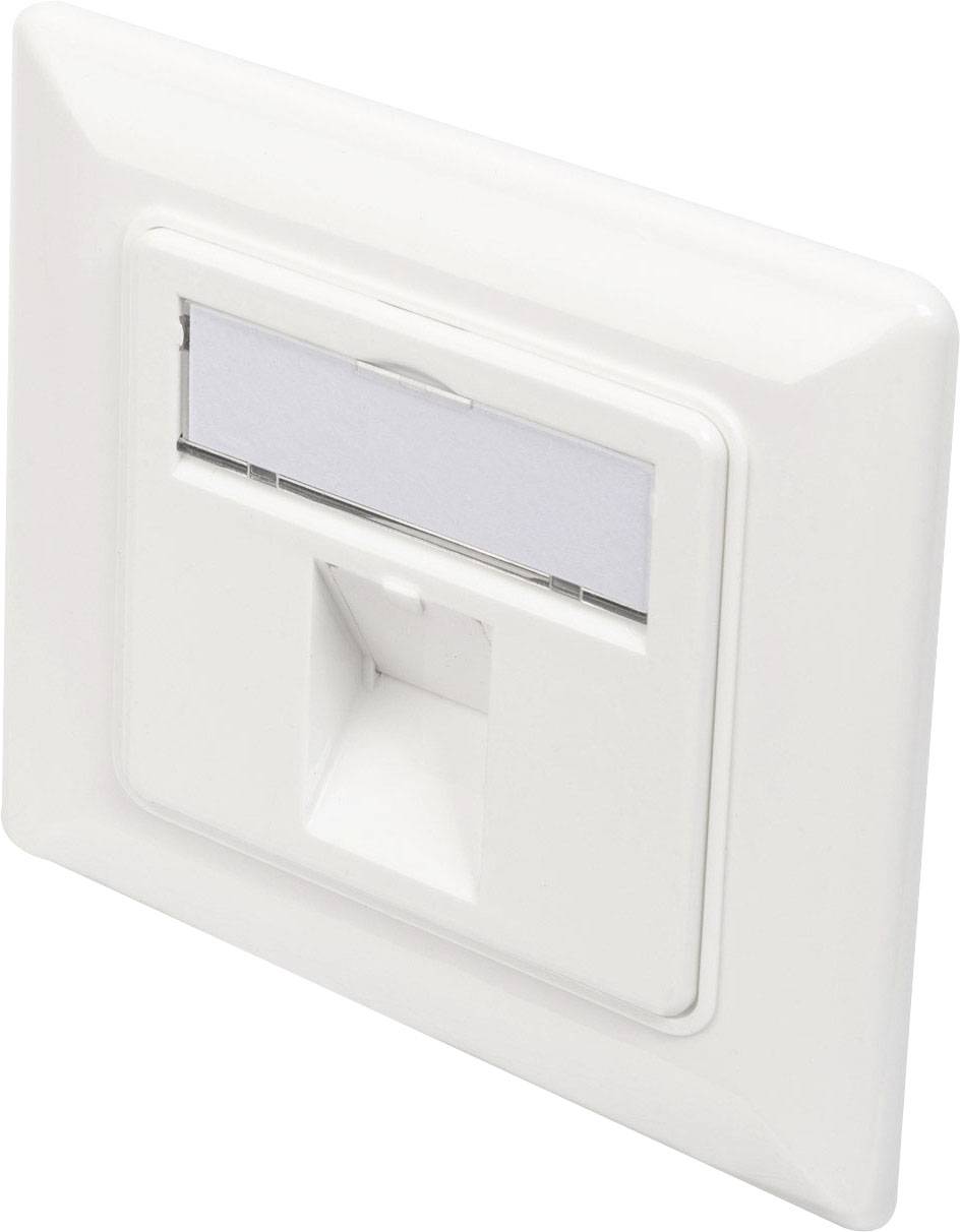 Prise réseau blanche montée au mur, avec une fente d'étiquetage amovible en haut et un passage de câble en bas. Design carré.