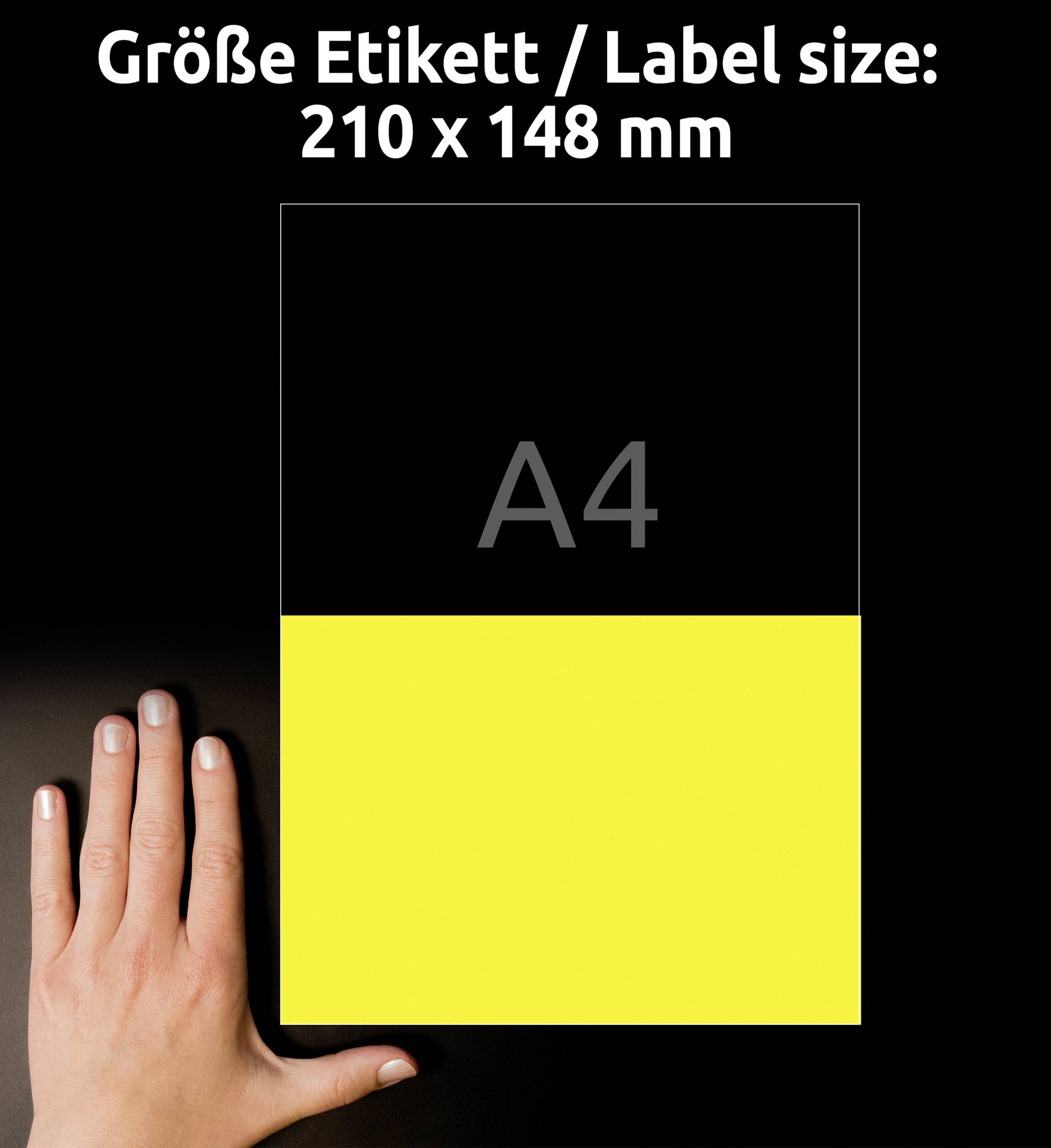 'Taille de l'étiquette / Label size: 210 x 148 mm' au-dessus d'une image divisée en A4 : moitié supérieure noire, moitié inférieure jaune. Main pour comparaison de taille.