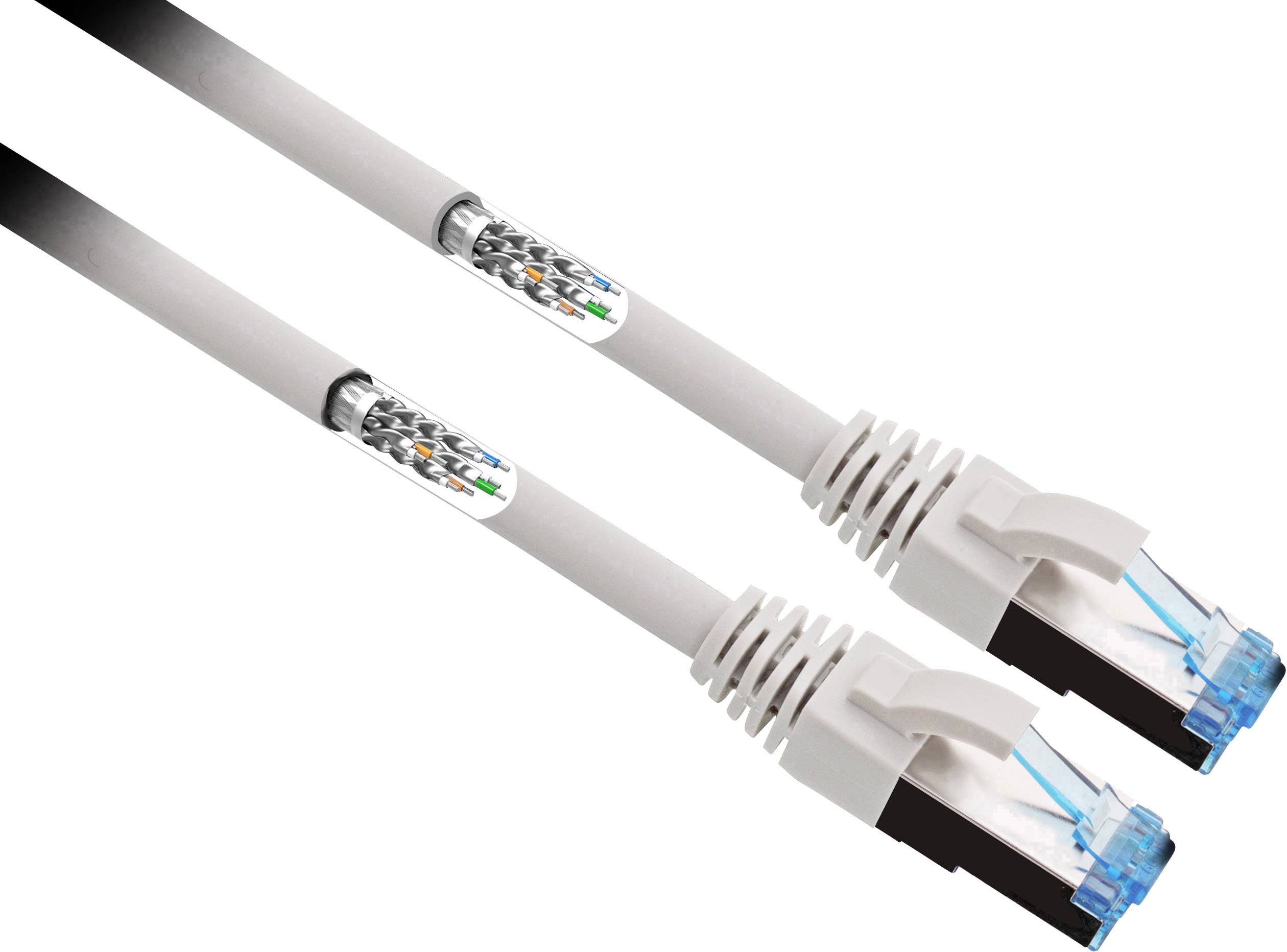 Deux câbles Ethernet blancs avec connecteurs RJ45, adaptés aux connexions réseau, sont disposés parallèlement côte à côte.