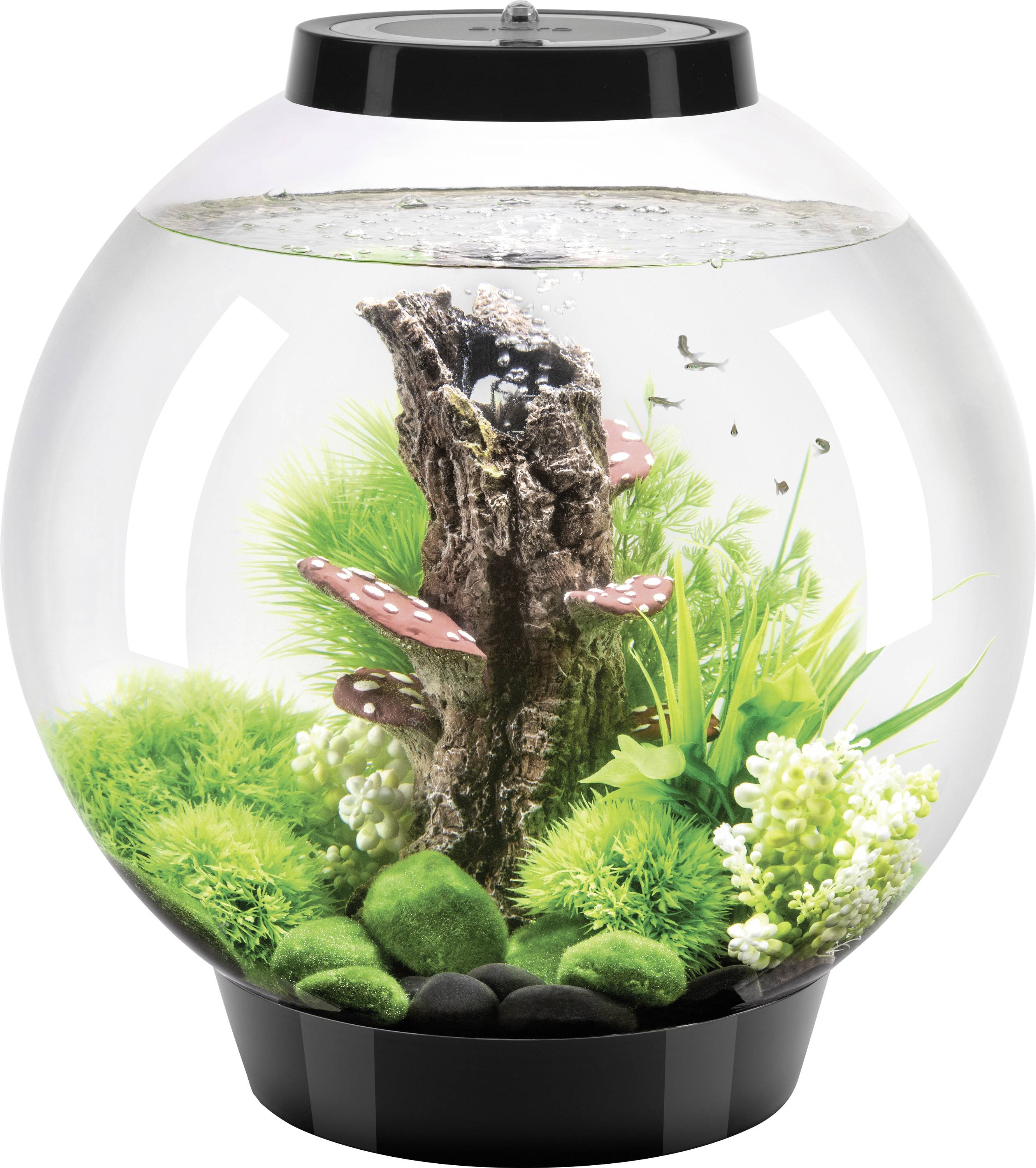 Un aquarium circulaire avec des plantes artificielles, des structures ressemblant à des champignons, et une pièce centrale texturée, sans poissons ni occupants visibles.