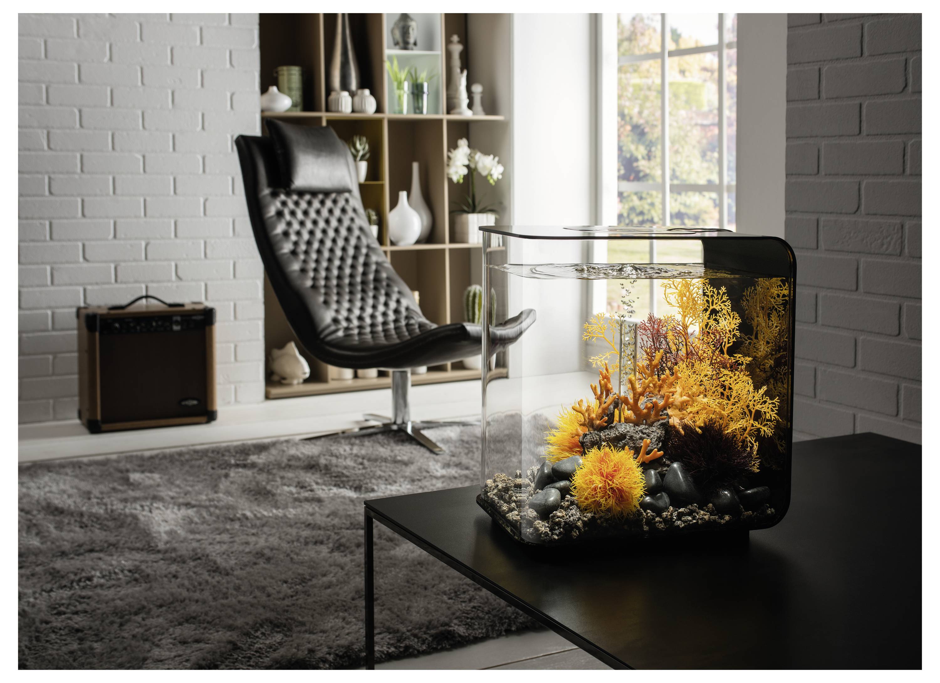 Aquarium 30 l Oase 72033 avec éclairage LED