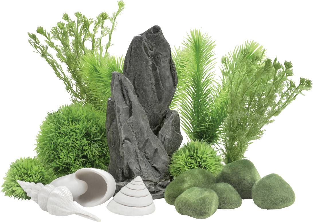 Un ensemble de plantes vertes, de rochers gris et de coquillages blancs disposés ensemble, créant une scène aquatique naturelle et sereine.