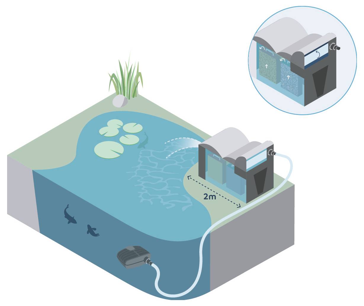 Une illustration d'un système de filtration d'étang montrant des composants tels qu'une pompe, des tuyaux, un mécanisme de filtration, le sens d'écoulement de l'eau et un marqueur de distance de 2 mètres.