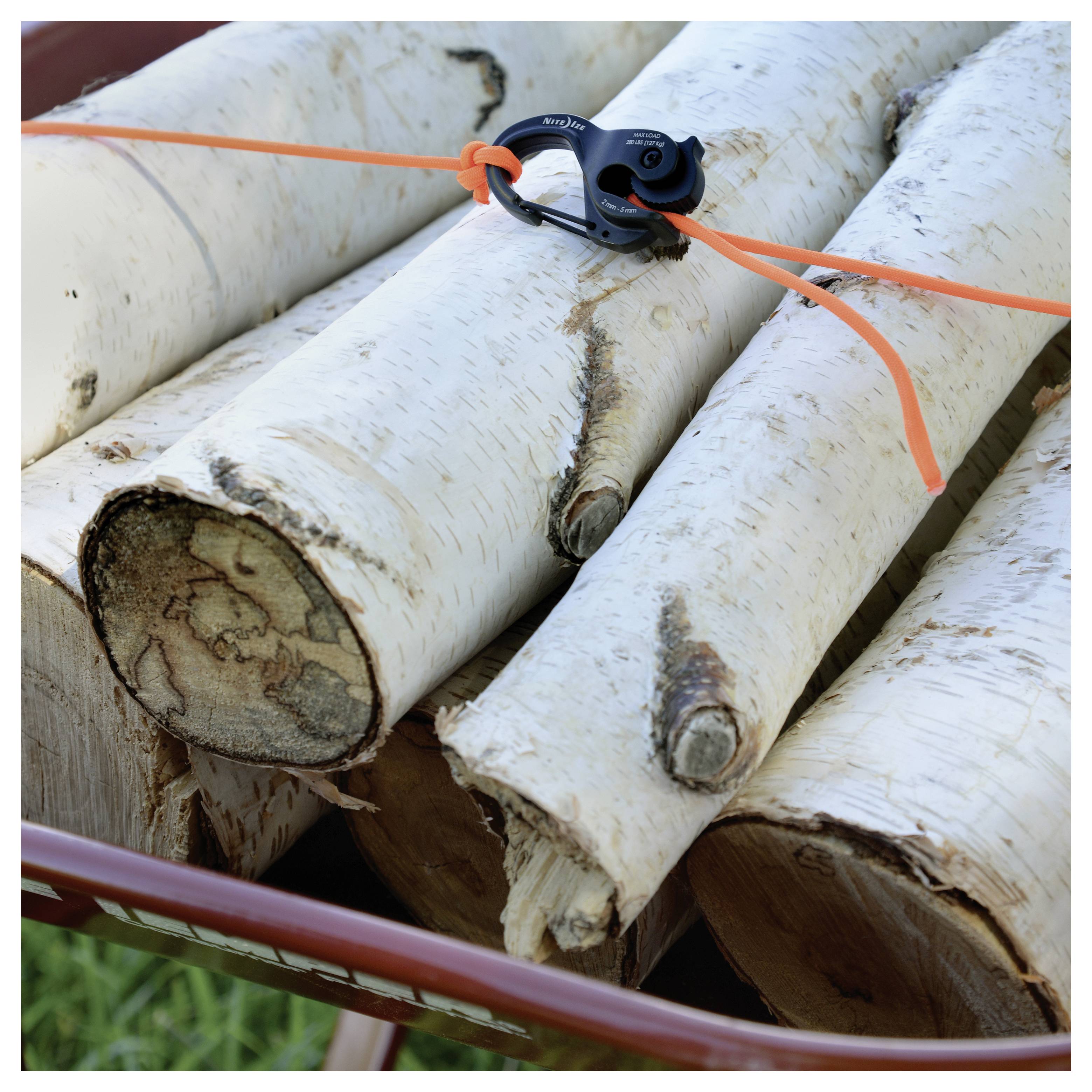 Bûches de bouleau attachées avec une corde orange dans une brouette, montrant un mécanisme de nœud pour assurer la stabilité.