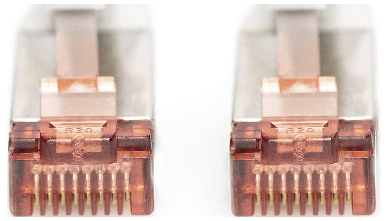 Deux connecteurs réseau Cat-6 côte à côte avec des boîtiers en plastique transparents et des broches de contact dorées.