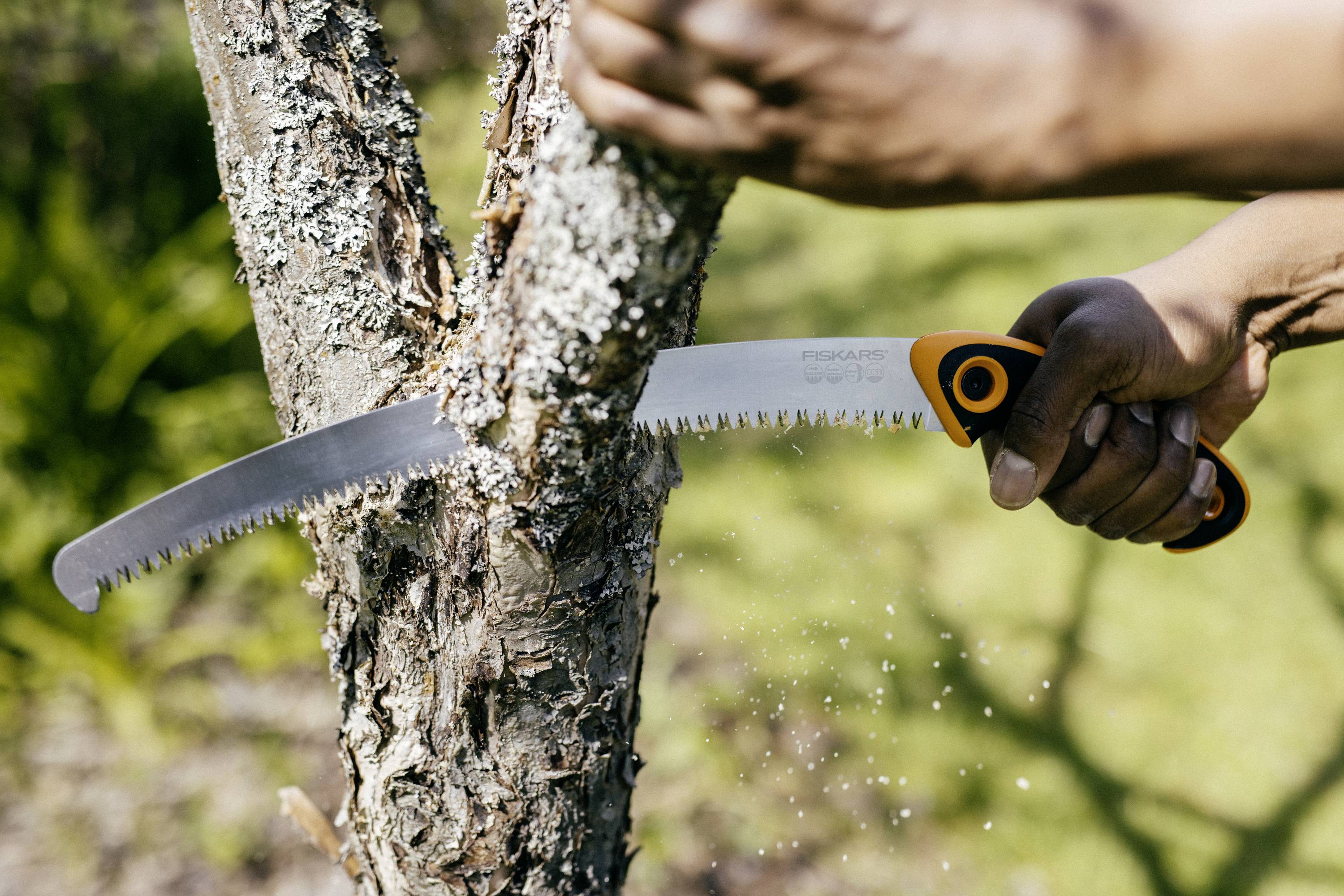 Une personne coupe une branche d'un arbre à l'aide d'une scie à main. Des copeaux de sciure tombent. Il fait soleil, et l'arrière-plan montre des plantes vertes.