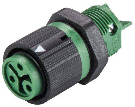 Wieland Electric 46.031.5055.7 Cosse cylindrique mâle embase femelle Nombre total de pôles: 2 + PE Série (connecteur rond): RST®