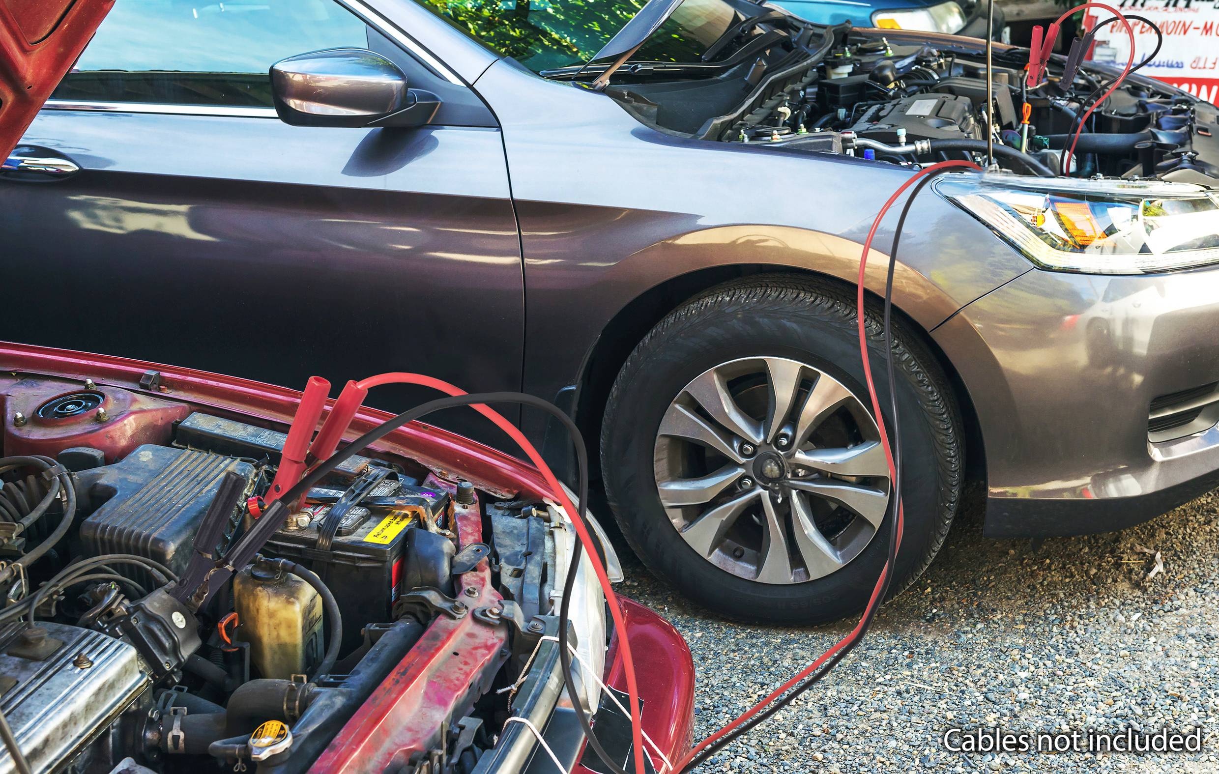 Pince de charge  1000 A 30 V/DC TRU COMPONENTS 1000A 736511 rouge 1 pc(s)