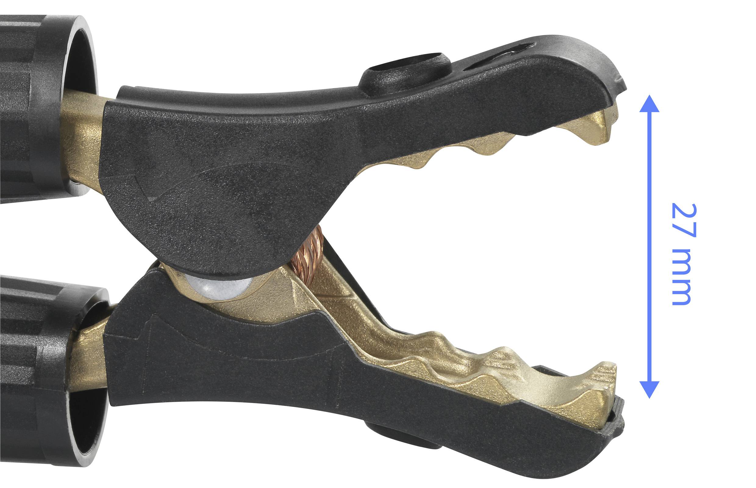 Pince de charge maxi. 1000 A/30 V/DC vis noir 1000 A Contenu : 1 pièce