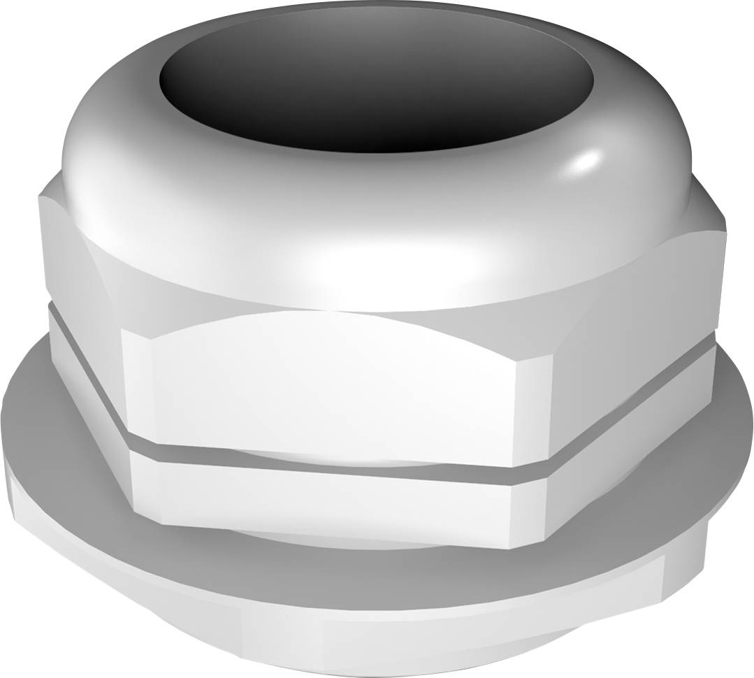 Rittal 2411.671 Presse-étoupe M63 Polyamide gris clair (RAL 7035) 1 pc(s)