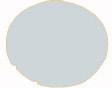 Surface circulaire grise sur fond blanc.