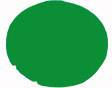 Un cercle simple, vert sur fond blanc.