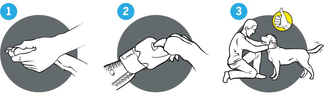 Dremel Pet Nail Grooming Lime à griffes 1 pc(s)