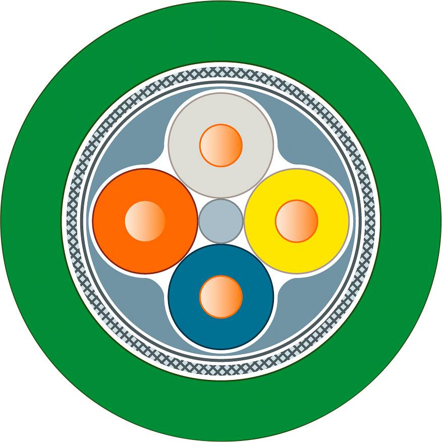 Un diagramme circulaire composé de quatre cercles intérieurs en orange, gris, jaune et bleu, entourés d'un cercle extérieur vert. Design géométrique.