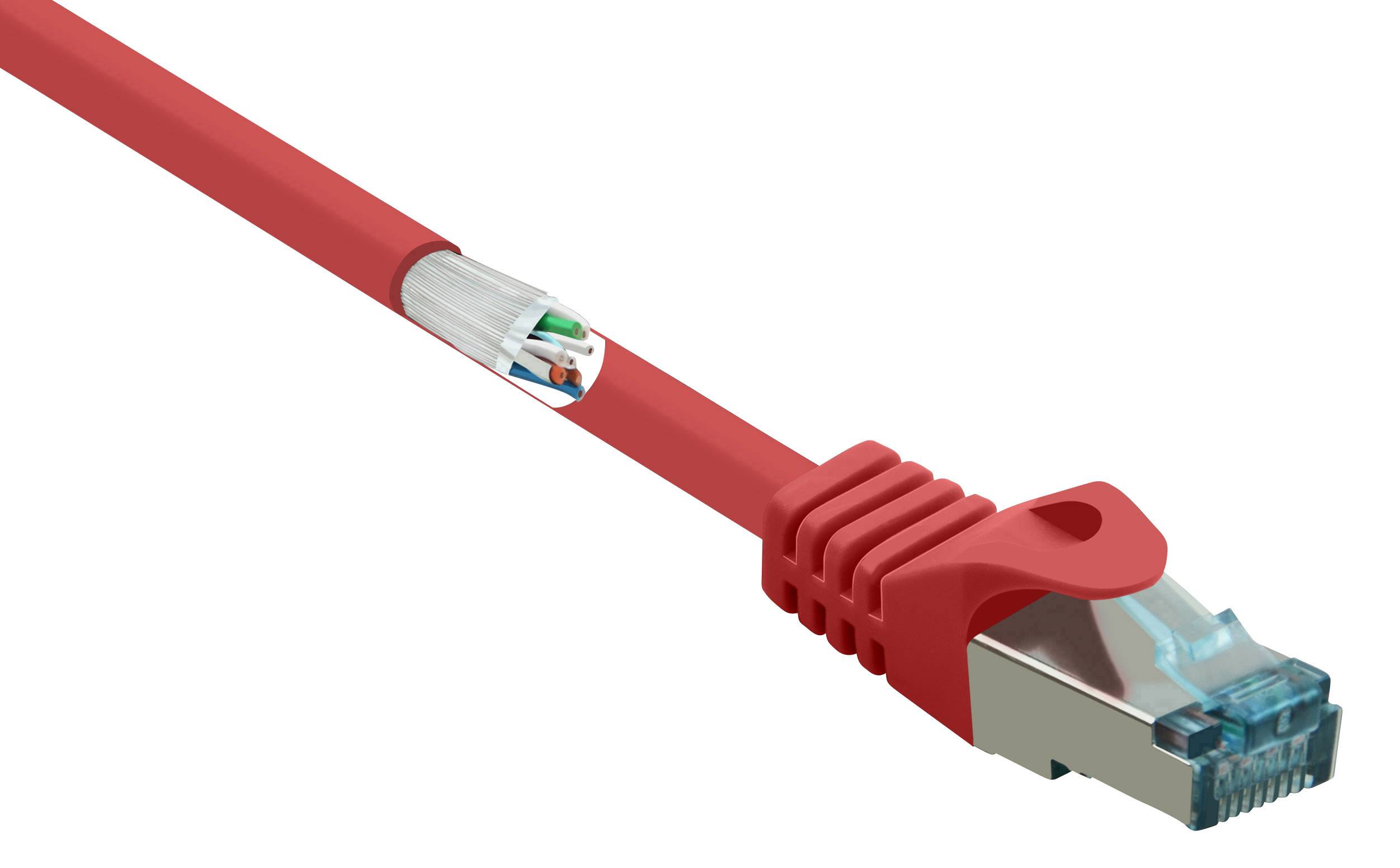 Un câble Ethernet rouge avec une fiche transparente. Une section montre le câblage interne du câble.