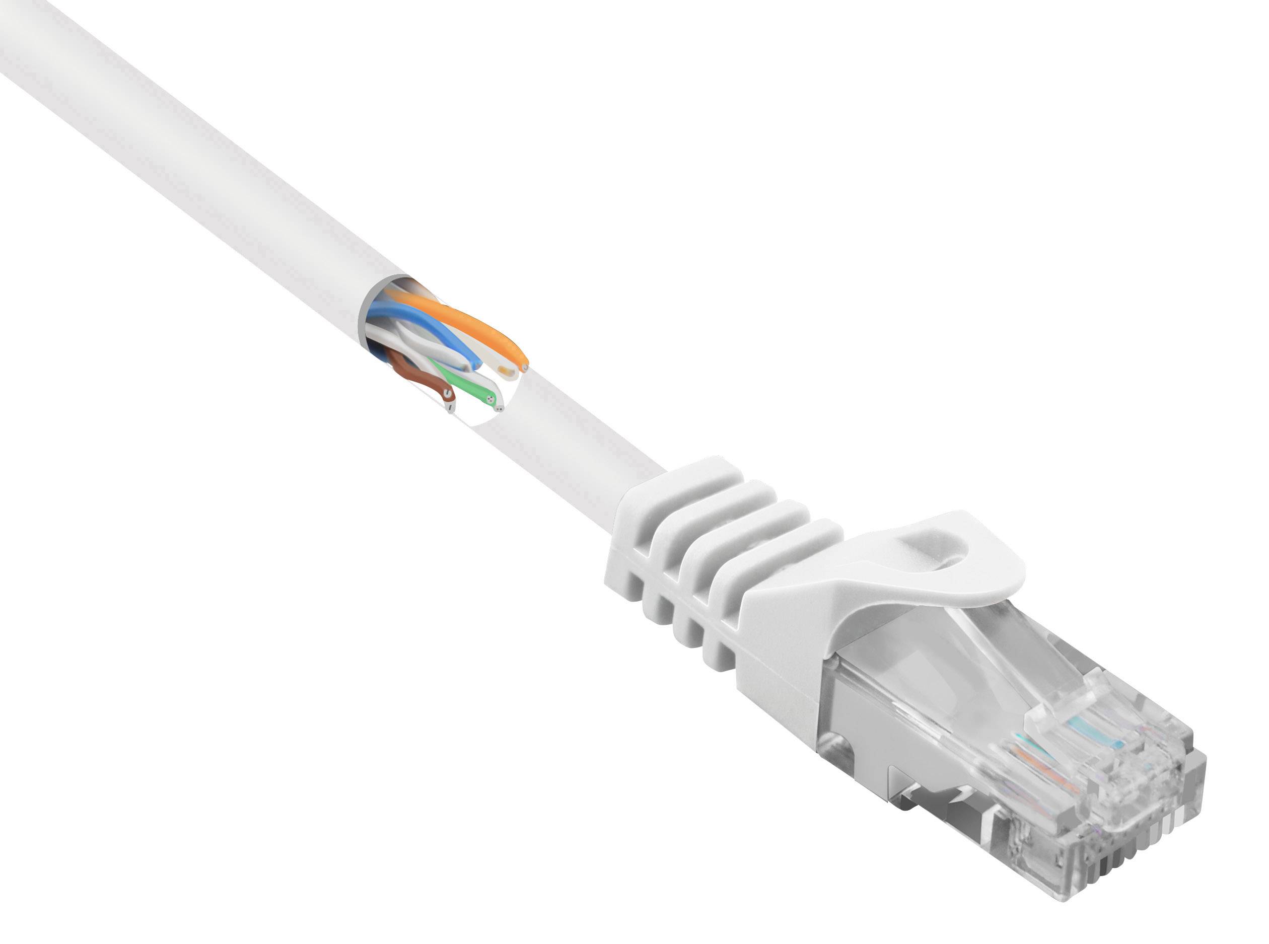 Un câble Ethernet blanc avec connecteur RJ-45, partiellement dénudé avec des fils exposés. Adapté pour les connexions Internet.