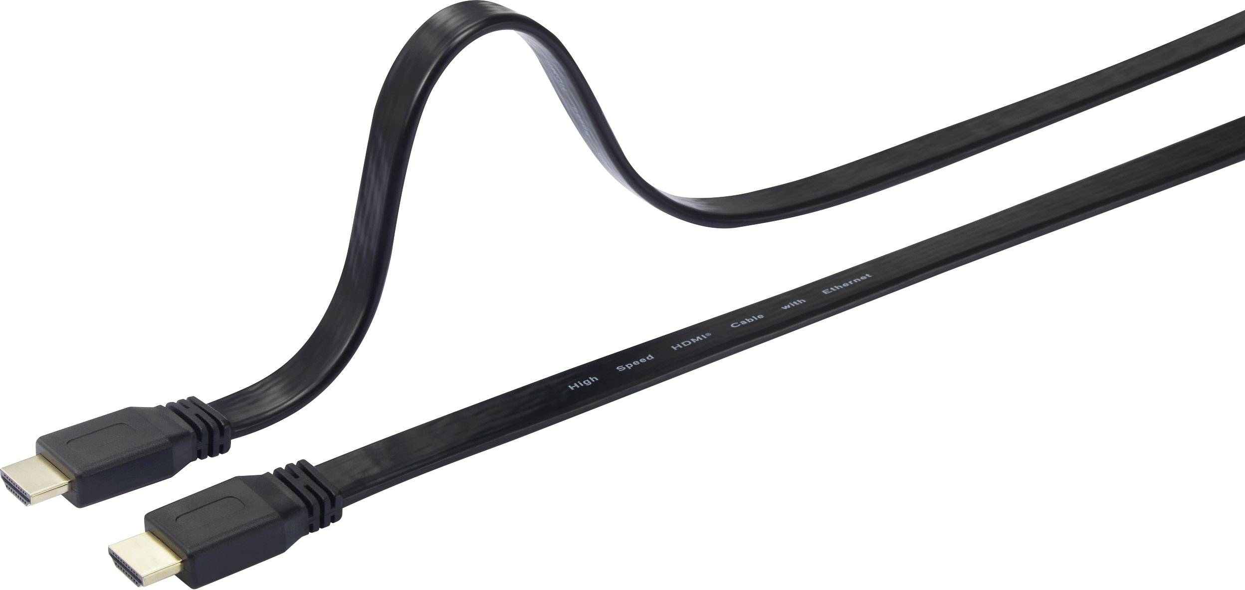 Câble de raccordement SpeaKa Professional SP-7541956 5.00 m noir