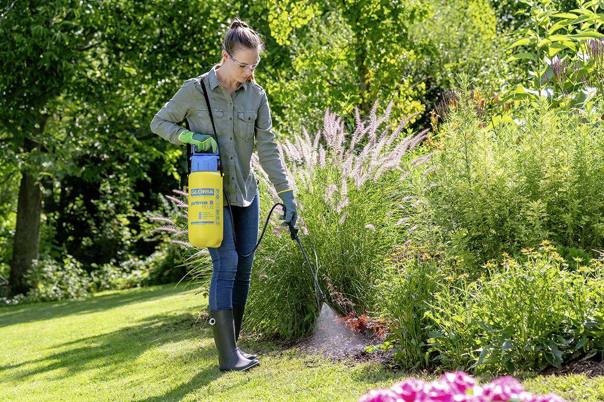 Une personne pulvérise des pesticides avec un récipient jaune sur des plantes dans un jardin ensoleillé, entouré de feuillage vert.