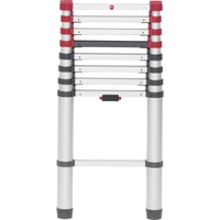 Hailo T80 FLEXLINE 7113-091 aluminium Echelle télescopique Hauteur de travail (max.): 3.4 m argent, noir, rouge DIN EN 131 8.1 kg Hailo T80 FLEXLINE 7113-091 aluminium Echelle télescopique Hauteur de travail (max.): 3.4 m argent, noir, rouge DIN EN 131 8.1 kg
