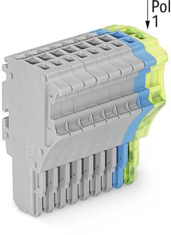 Fiche multipolaire en tons de gris avec des éléments bleus et verts, étiquetée 'Pôle 1' en haut à droite, indiquant le sens de branchement.