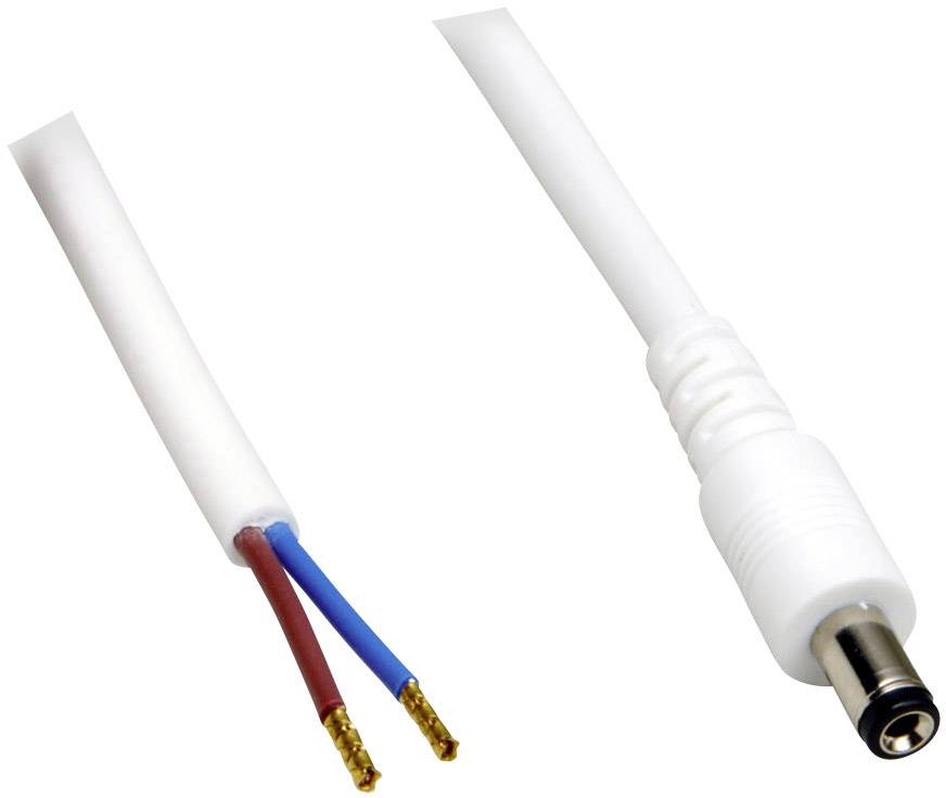 Câble de raccordement basse tension BKL Electronic 075189 DC mâle - extrémité(s) ouverte(s) 5.50 mm 2.10 mm 30.00 cm 1 pc(s)