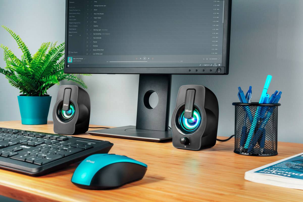Trust Gemi RGB 2.0 2.0 Enceintes PC filaire 12 W noir