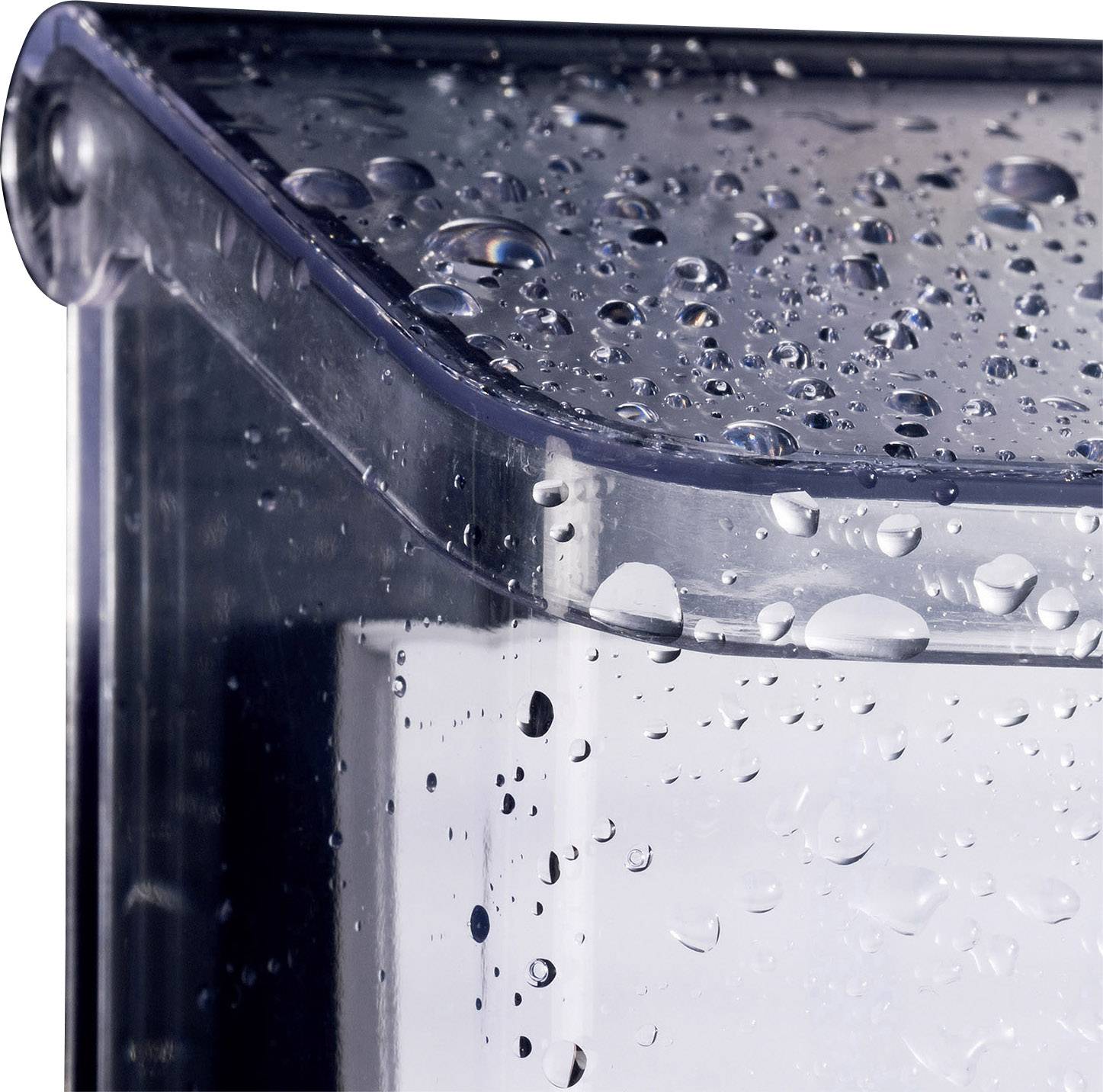 Un récipient transparent avec des gouttelettes d'eau sur sa surface, indiquant un arrosage récent ou une humidité présente.