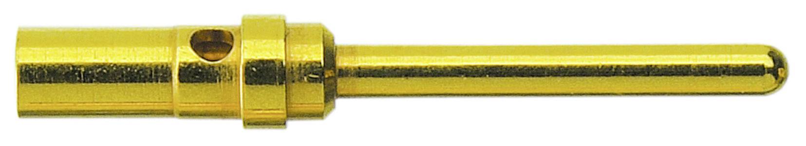 Une broche de connecteur dorée avec une extrémité cylindrique et une surface lisse, utilisée dans les connexions électroniques.