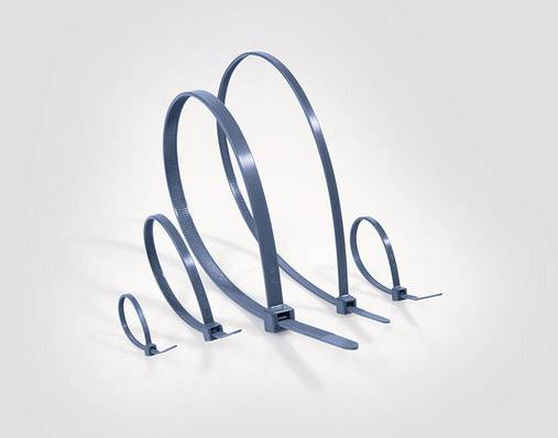 HellermannTyton 111-01668 MCTPP120R-PPMP-BU Serre-câble bleu 100 pc(s)