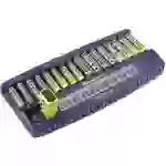 Chargeur de piles rondes AccuPower IQ216 NiCd, NiMH LR03 (AAA), LR6 (AA), 6LR61 (9 V) Chargeur de piles rondes AccuPower IQ216 NiCd, NiMH LR03 (AAA), LR6 (AA), 6LR61 (9 V)