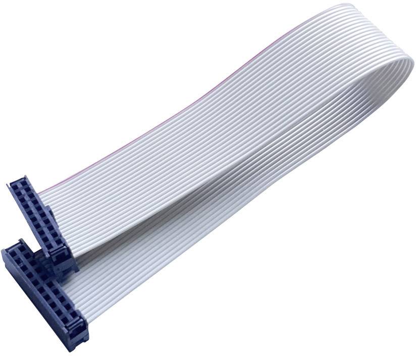 Câble en nappe avec fiches bleues aux deux extrémités, adapté pour les connexions électroniques et le câblage interne.