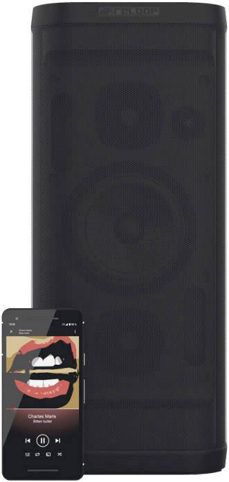 Reloop Groove Blaster Enceinte Bluetooth AUX, NFC, USB noir