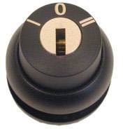 Eaton 216895 M22S-WS3 Tête de commande à clé collerette plastique clé noir 1 pc(s)