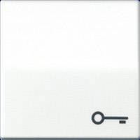 Jung simple Insert Bouton-poussoir blanc-alpin AS591TWW
