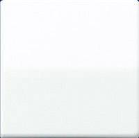 Jung simple Insert Bouton-poussoir blanc-alpin AS591WW 1 pc(s)