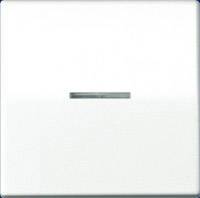 Jung simple Insert Bouton-poussoir blanc-alpin AS591KO5WW