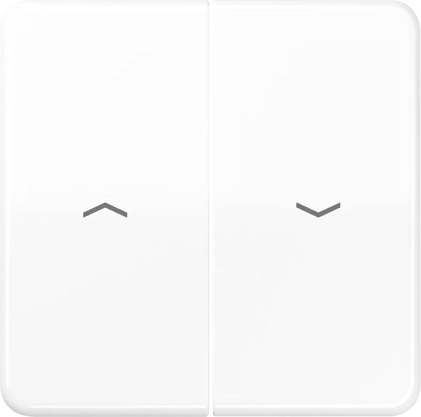 Jung x2 Cache Interrupteur pour stores, Interrupteur / bouton-poussoir pour stores blanc-alpin CD595PWW 1 pc(s)