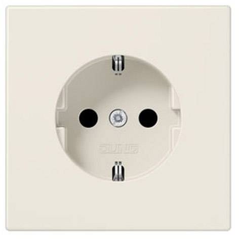 Jung simple Insert Prise 2P+T LS1520NKI