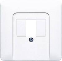 Jung simple Cache Prise TAE blanc-alpin CD569TWW 1 pc(s)