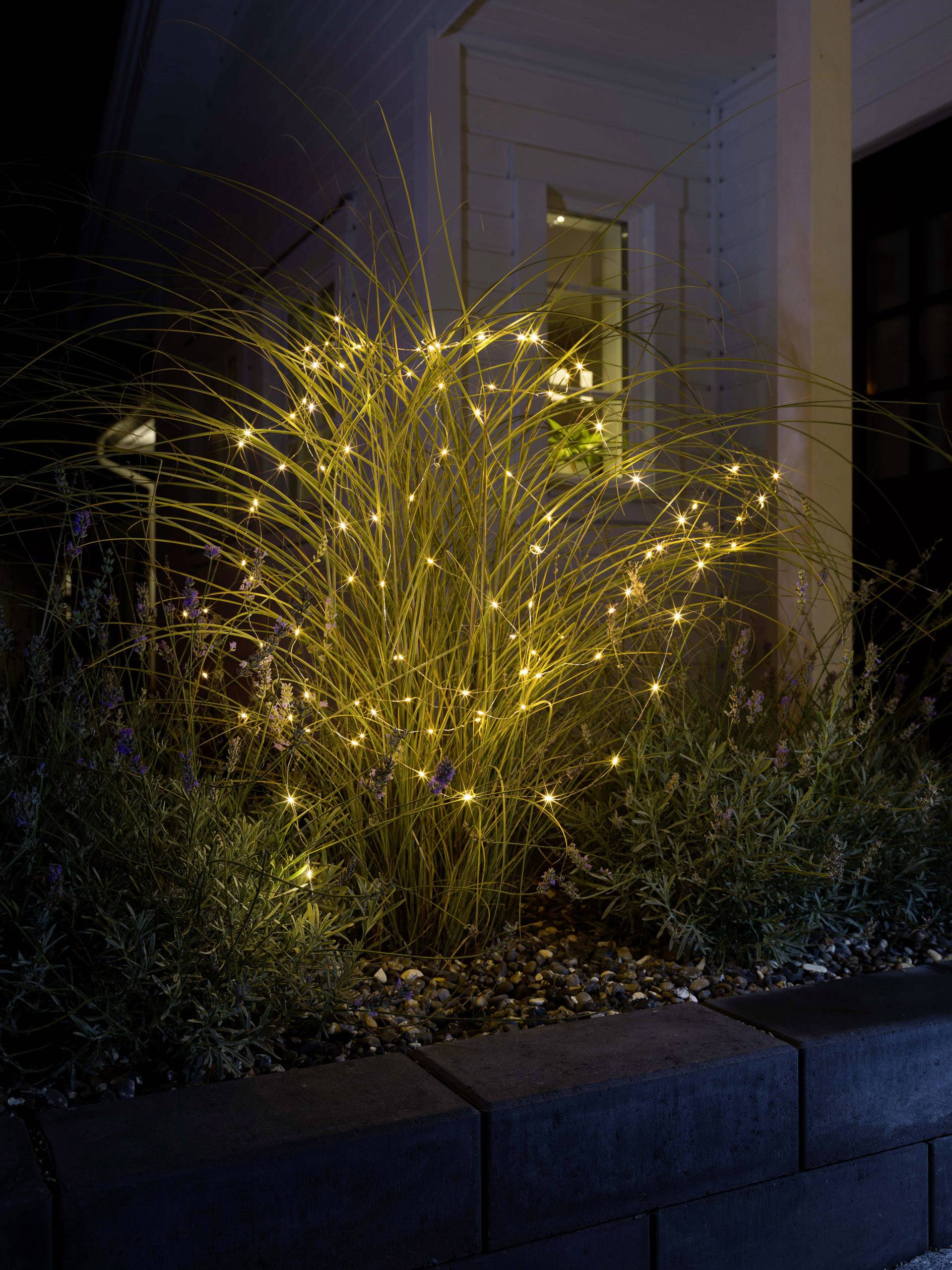 Konstsmide 6597-879 Micro-guirlande lumineuse commandée par une application goutte pour l'extérieur CEE: G (A - G) sur secteur