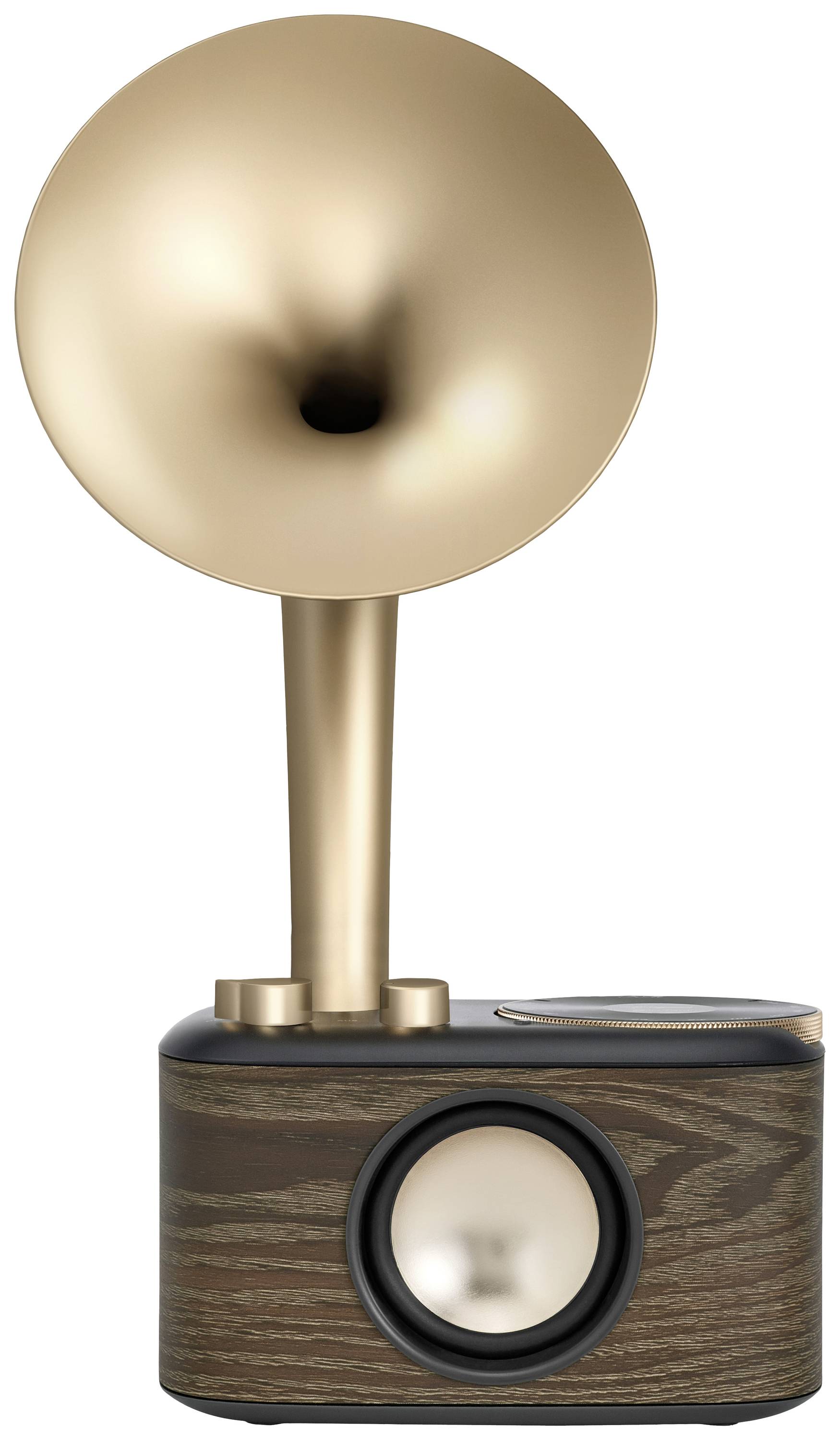 Sangean WR-45X Gold Radio de table FM AUX, Bluetooth rechargeable noir, or