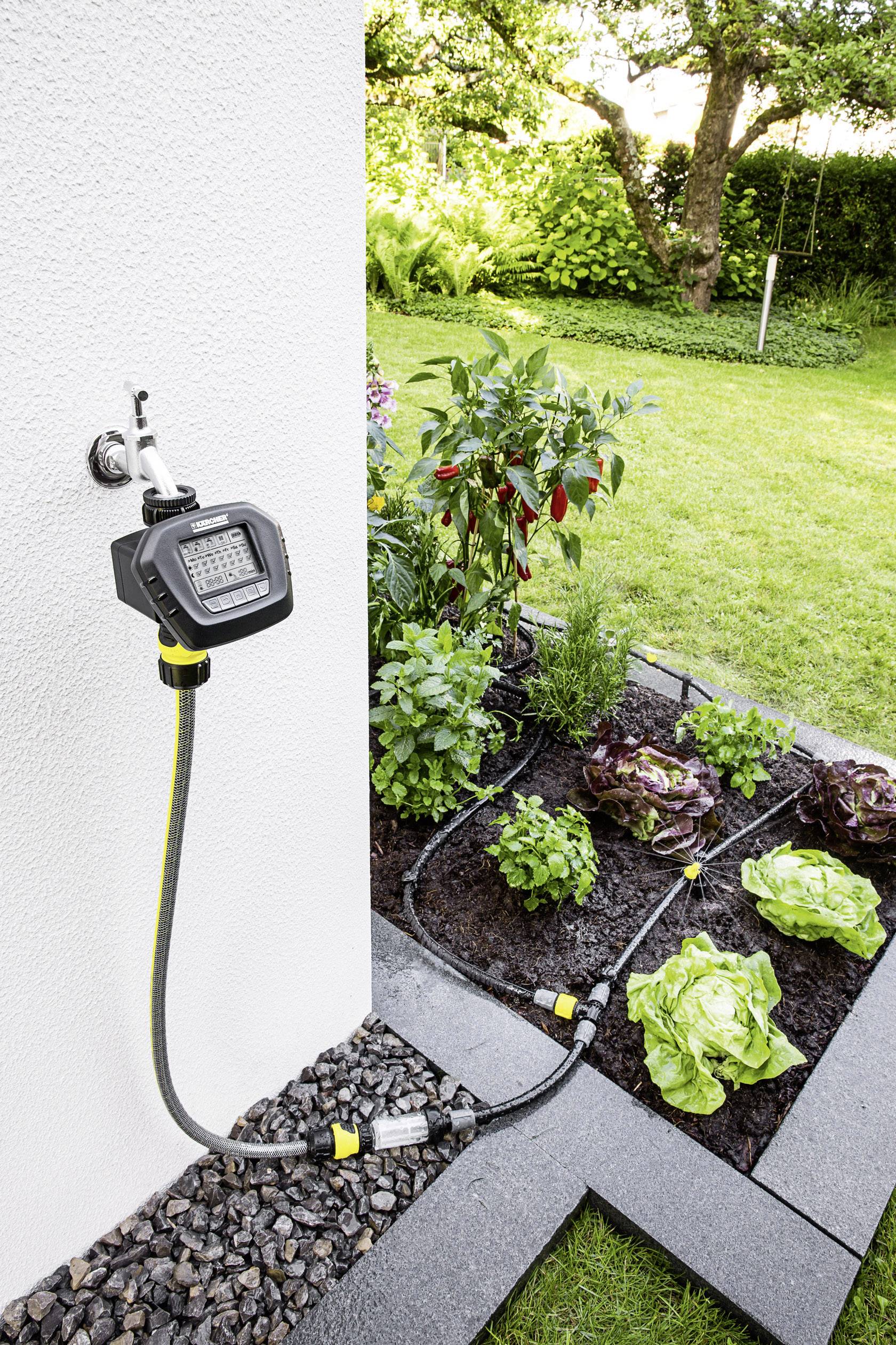 Système d'irrigation automatique dans un jardin, alimentant des plantes telles que de la laitue, des herbes et des poivrons. Jardin avec une pelouse verte en arrière-plan.