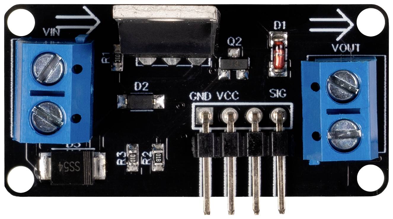 Module de régulateur de tension : Carte noire avec des bornes de connexion bleues à gauche (entrée) et à droite (sortie), connecteurs enfichables en bas.