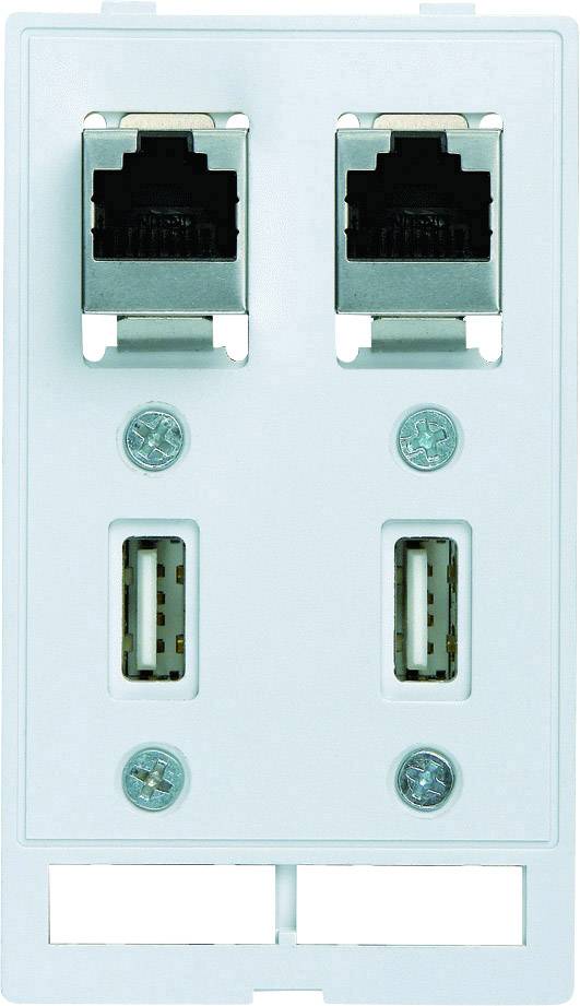 Deux ports Ethernet et deux ports USB sur une plaque murale blanche pour les connexions réseau et d'alimentation.