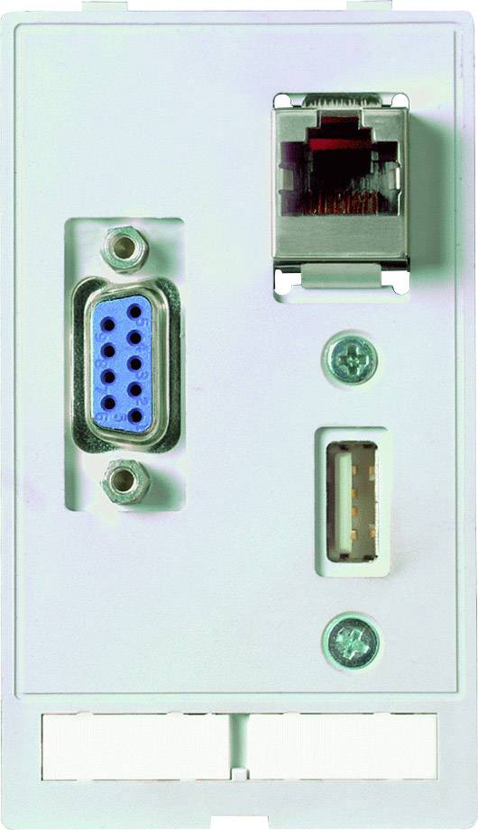 Un panneau de connexion murale avec une prise VGA (bleue), une prise réseau RJ45 (en haut) et une prise USB (en bas).