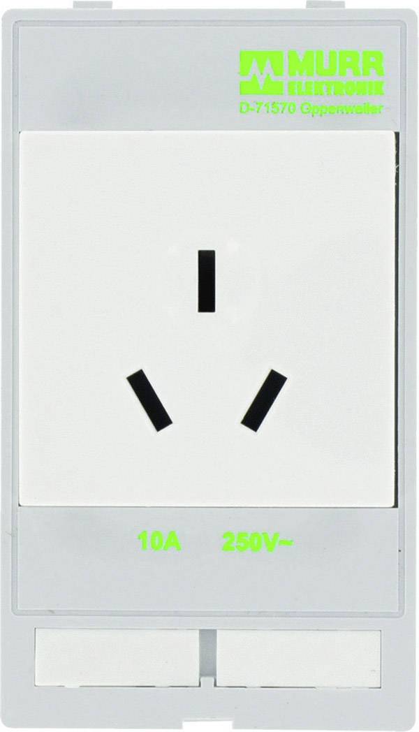 Prise électrique grise avec trois trous disposés en biais, logo vert en haut à droite et les valeurs 10A 250V en bas.