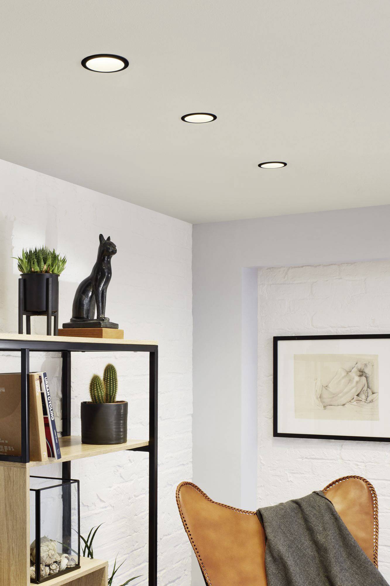 Intérieur moderne avec des étagères, des plantes et des objets d'art. Trois luminaires au plafond éclairent discrètement la pièce.