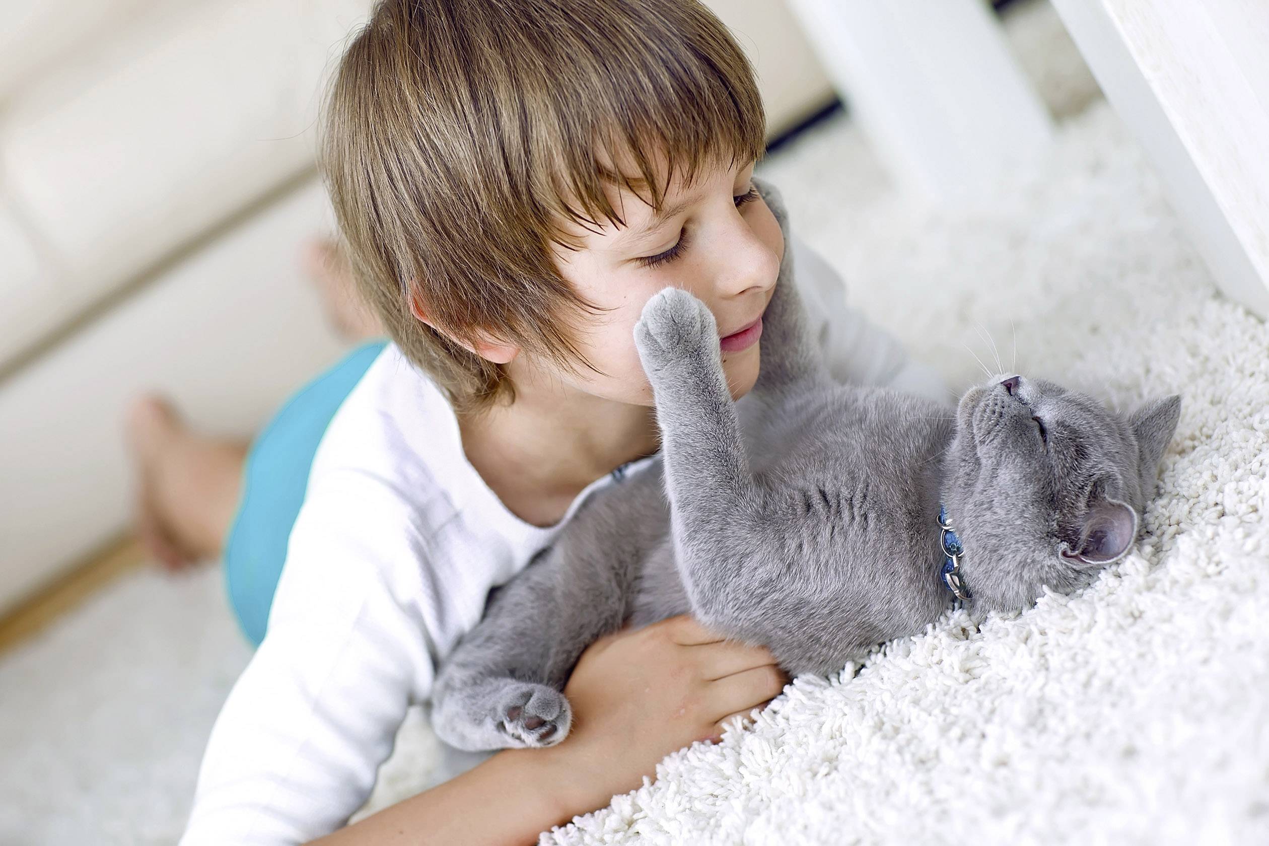 Adobe Photoshop Elements 2020 Vollversion, 1 Lizenz Windows, Mac Bildbearbeitung