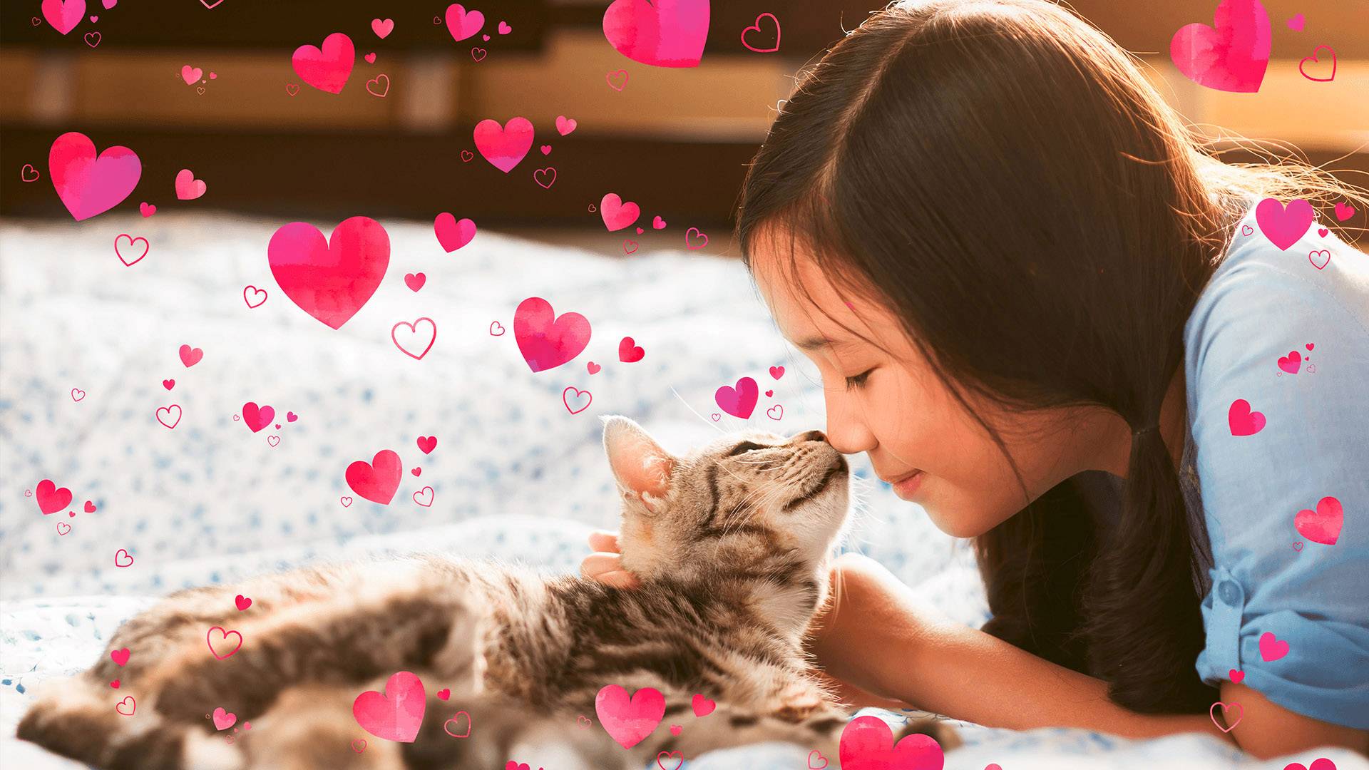 Adobe Photoshop Elements 2020 Vollversion, 1 Lizenz Windows, Mac Bildbearbeitung